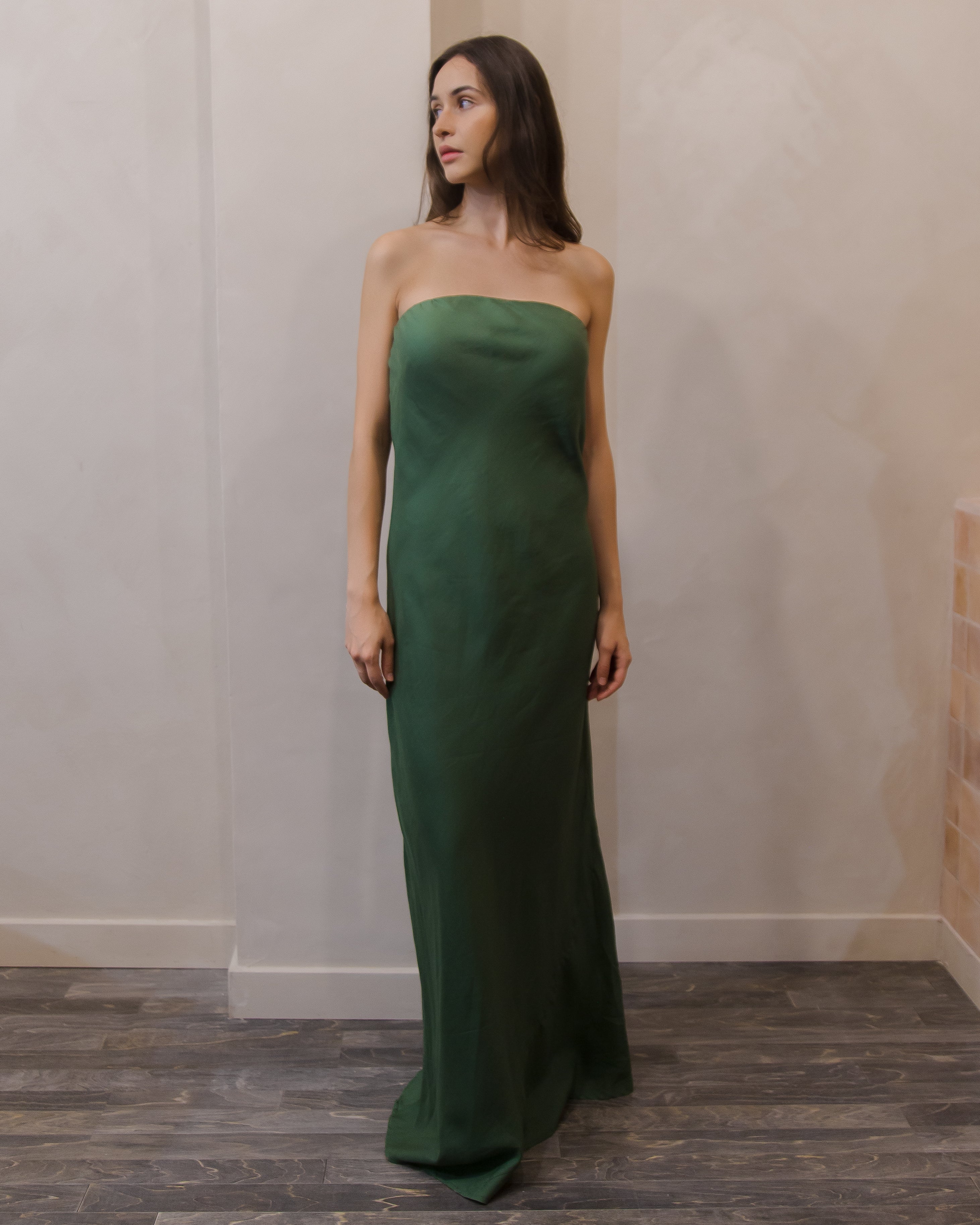 LAGUNA STRAPLESS DRESS