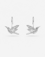 ARETES COLIBRI