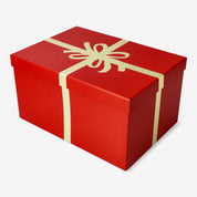 CAJA DE REGALO DE NAVIDAD - GRANDE