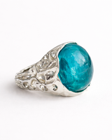 ANILLO DE TRAMPAS