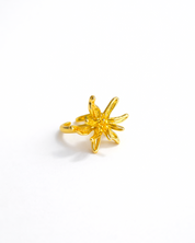 ARRECIFE RING Anima Guzga