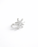 ARRECIFE RING